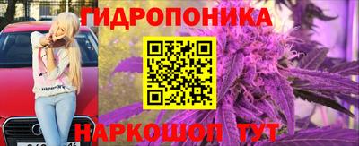 тгк Мирный