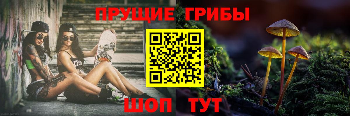 закладка  Псилоцибиновые грибы мухоморы  Ставрополь  Вход с VPN  Псилоцибиновые грибы Cubensis 
